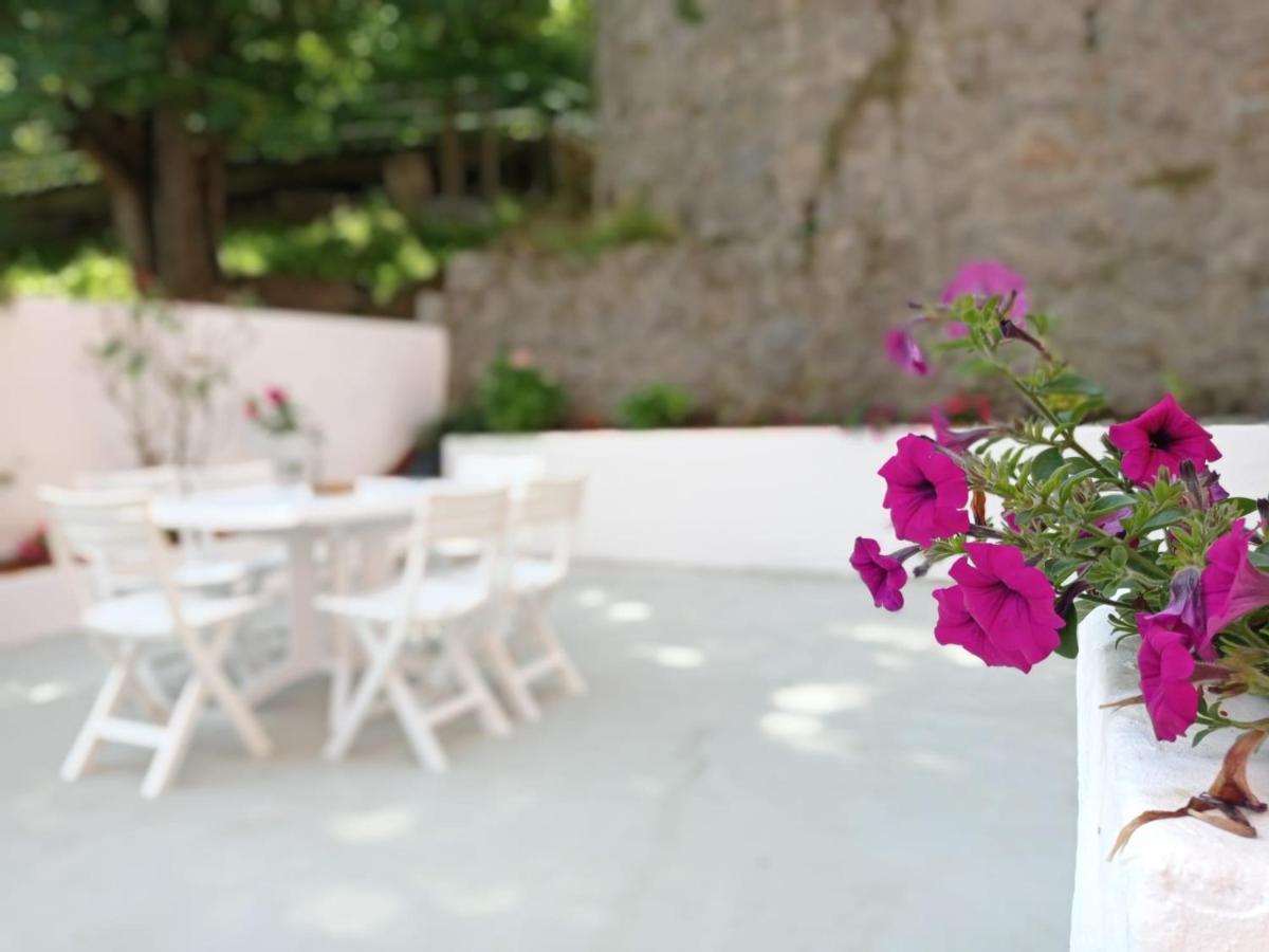 Easo Terrace Apartment Free Private Parking And Air Conditioning San Sebastián Eksteriør billede